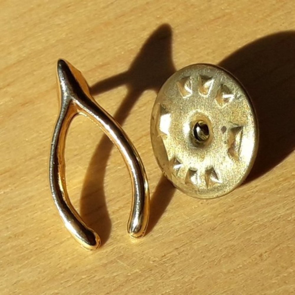 Gold Lapel Pin Ribbon Gift Omega Chevron Wishbone